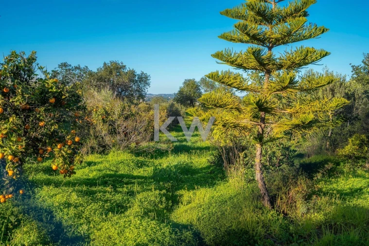 Moradia T4 para Venda em Alcantarilha e Pêra Foto 90