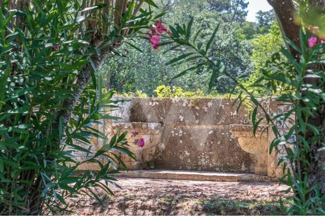 Quinta T21 para Venda em Maxial e Monte Redondo Foto 41