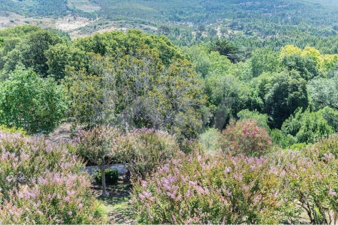 Quinta T21 para Venda em Maxial e Monte Redondo Foto 50