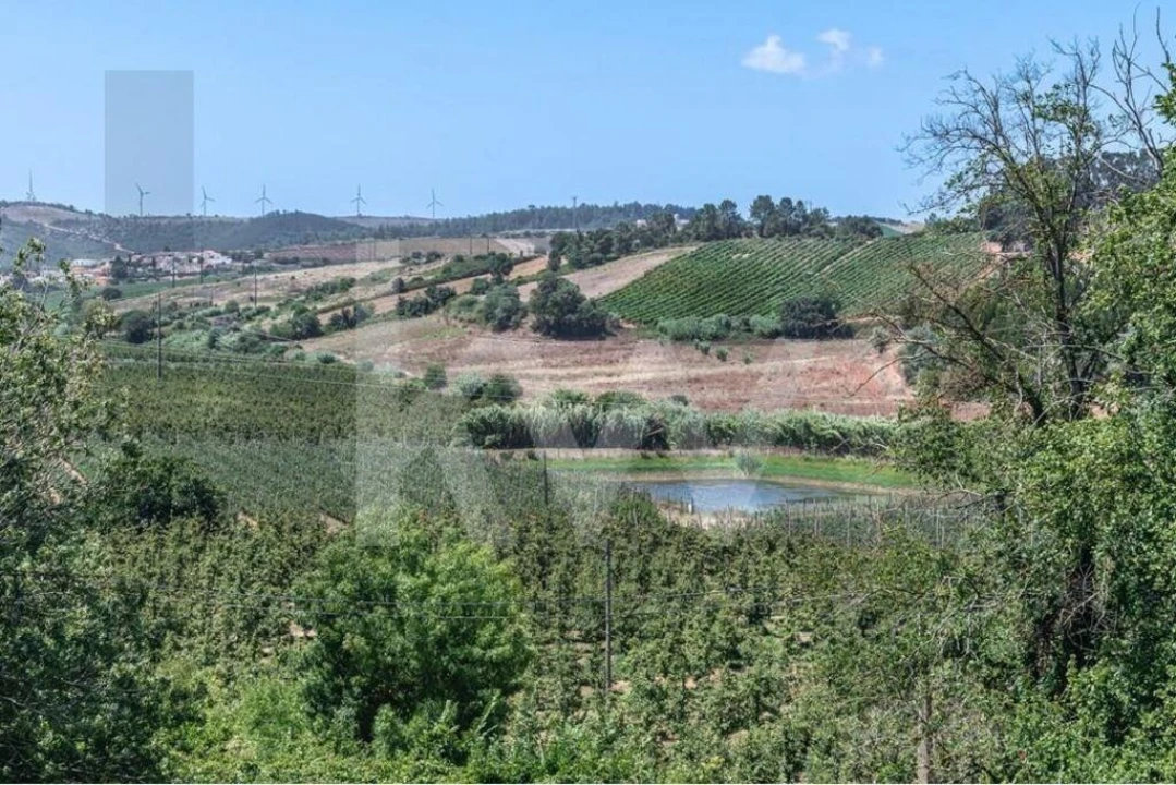 Quinta T21 para Venda em Maxial e Monte Redondo Foto 51