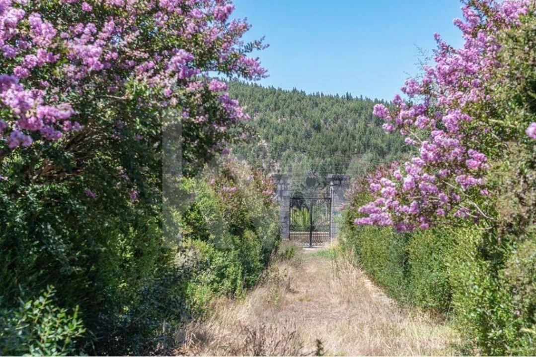 Quinta T21 para Venda em Maxial e Monte Redondo Foto 43