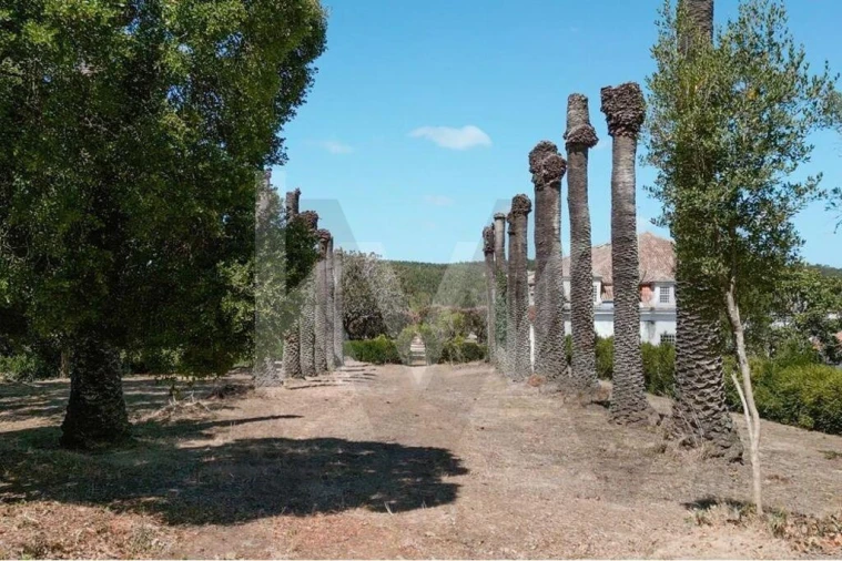 Quinta T21 para Venda em Maxial e Monte Redondo Foto 59