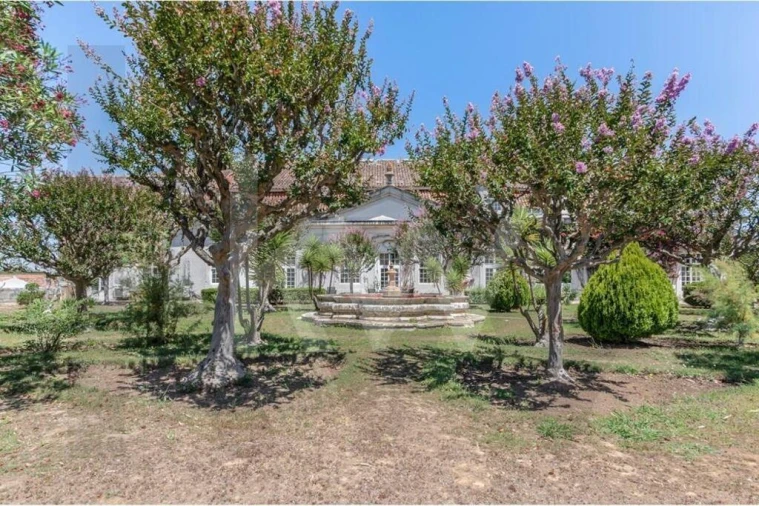 Quinta T21 para Venda em Maxial e Monte Redondo Foto 37