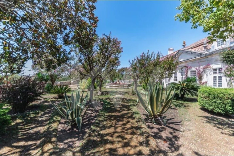 Quinta T21 para Venda em Maxial e Monte Redondo Foto 46