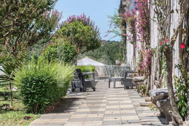 Quinta T21 para Venda em Maxial e Monte Redondo Foto 40