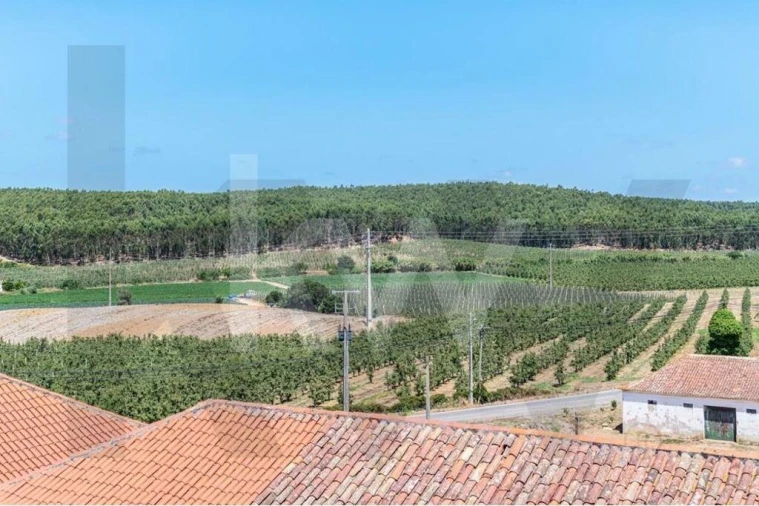 Quinta T21 para Venda em Maxial e Monte Redondo Foto 49