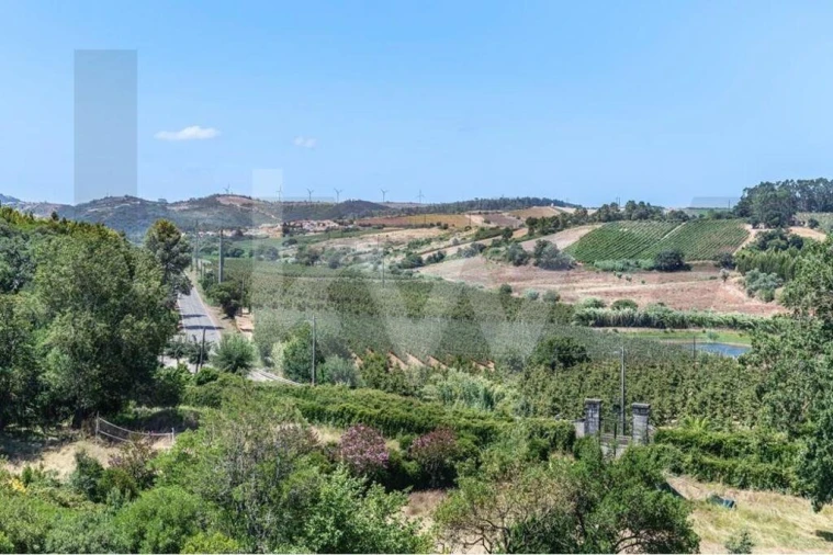 Quinta T21 para Venda em Maxial e Monte Redondo Foto 52