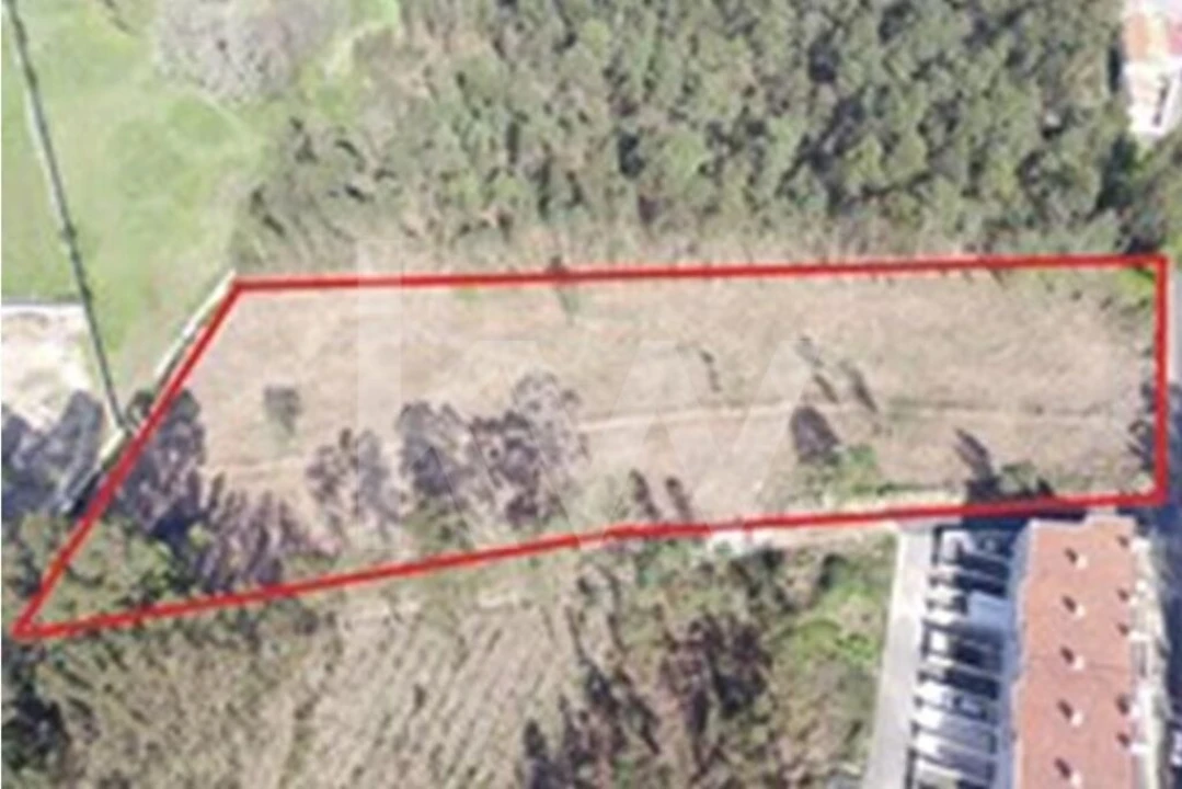 Terreno para Venda em São João de Ver Foto 3