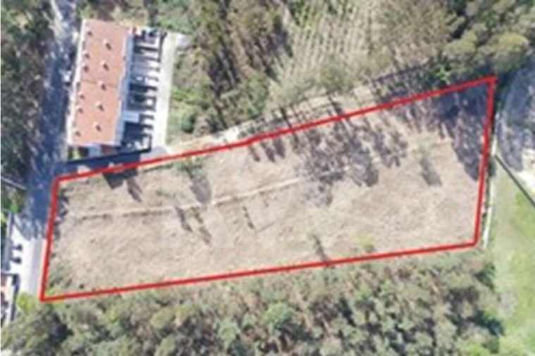 Terreno para Venda em São João de Ver Foto 4