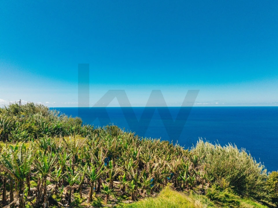 Terreno para Venda em Arco da Calheta Foto 22
