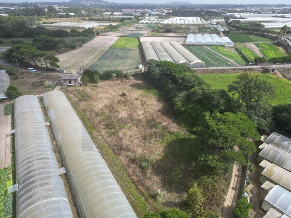 Terreno para Venda em Estela Foto 1