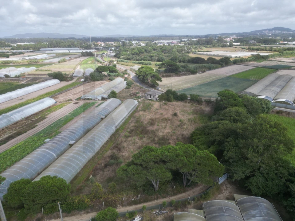 Terreno para Venda em Estela Foto 18