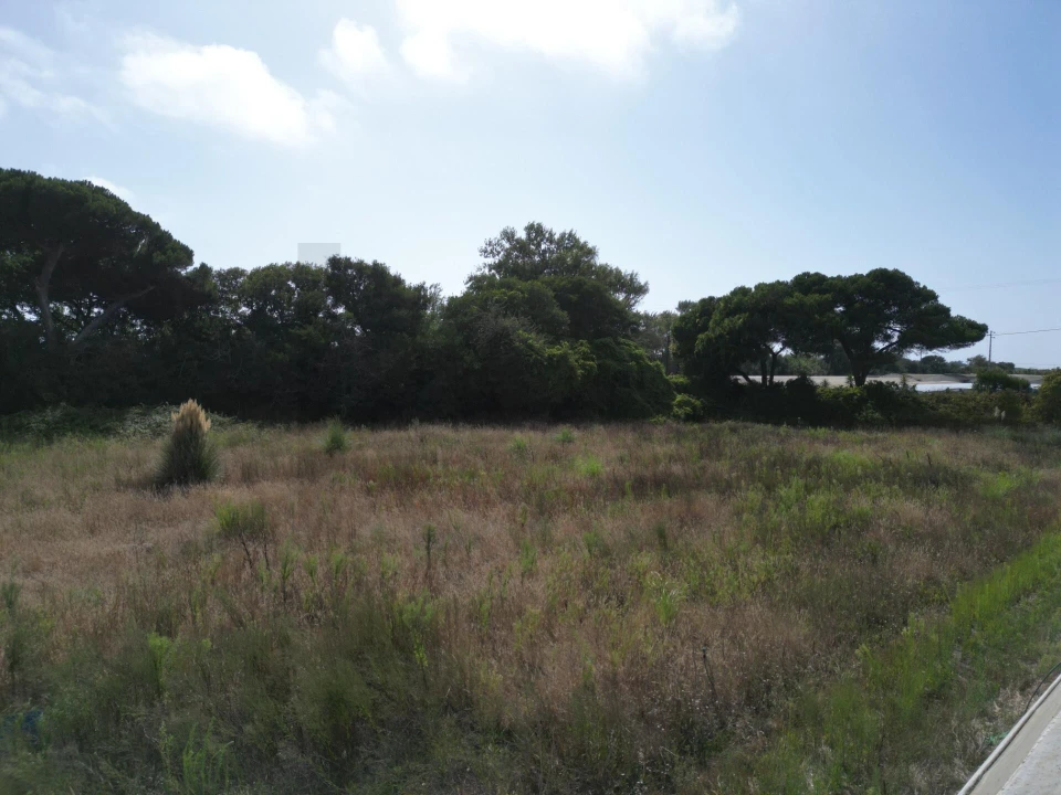 Terreno para Venda em Estela Foto 14