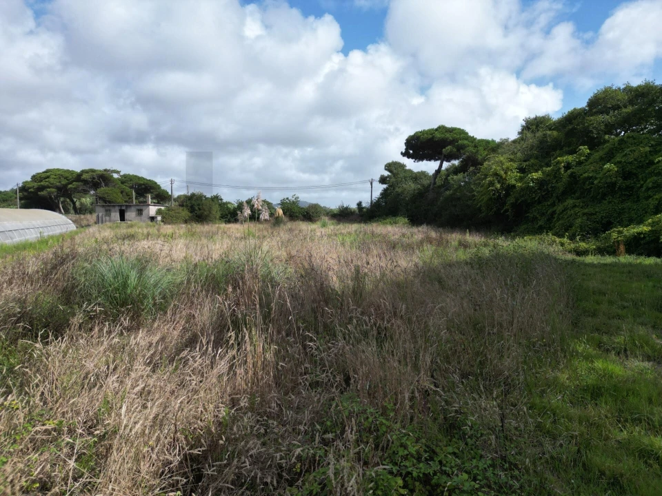 Terreno para Venda em Estela Foto 16