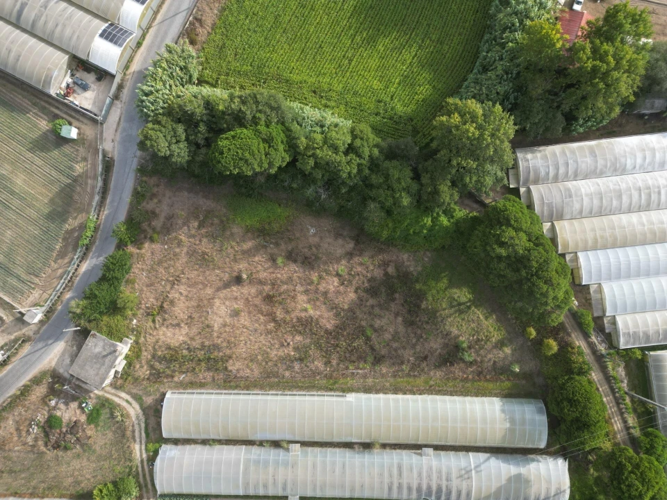 Terreno para Venda em Estela Foto 2