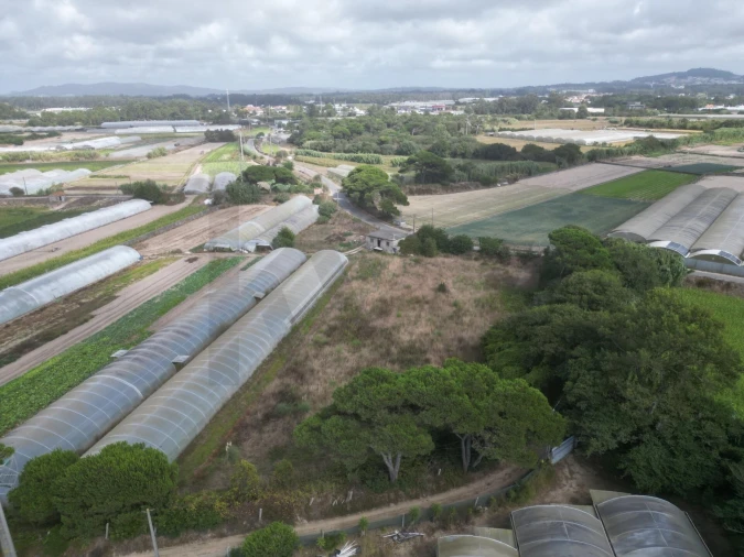 Terreno para Venda em Estela Foto 17