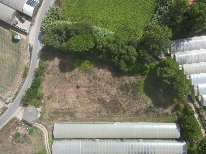 Terreno para Venda em Estela Foto 20