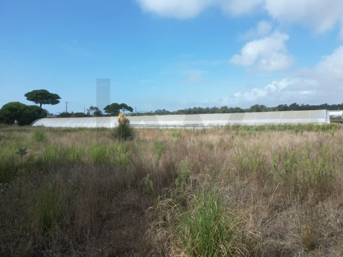 Terreno para Venda em Estela Foto 16