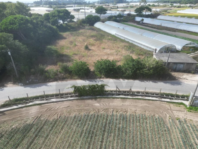 Terreno para Venda em Estela Foto 21