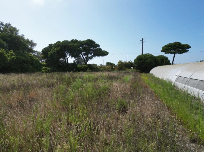 Terreno para Venda em Estela Foto 13