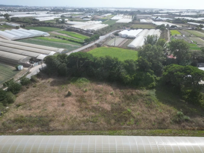 Terreno para Venda em Estela Foto 19