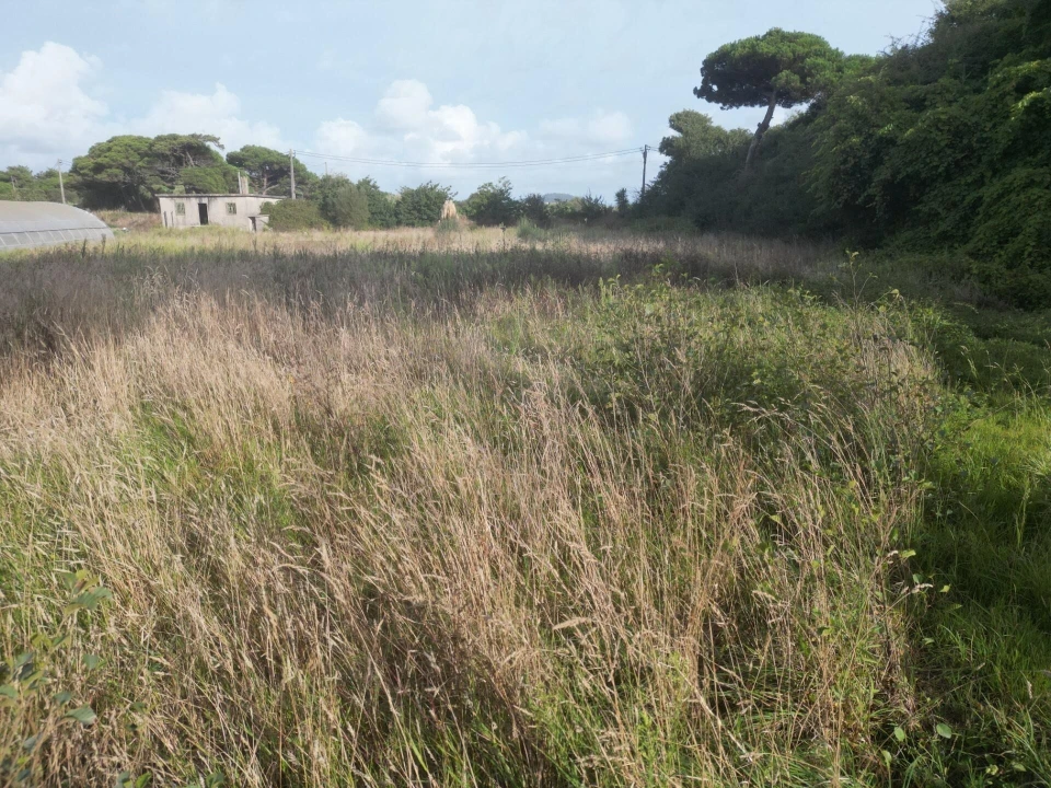 Terreno para Venda em Estela Foto 8
