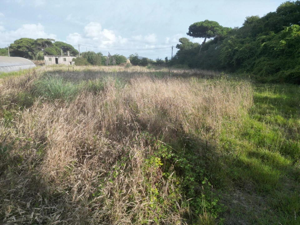 Terreno para Venda em Estela Foto 9