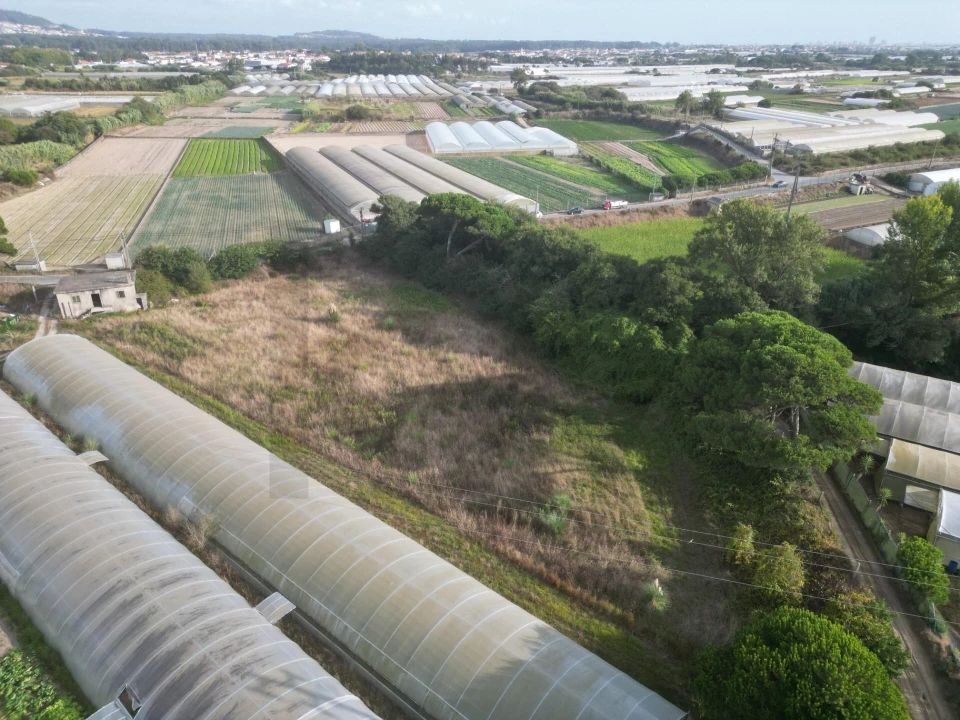 Terreno para Venda em Estela Foto 3
