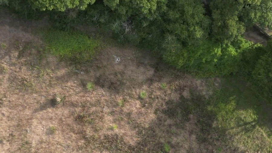 Terreno para Venda em Estela