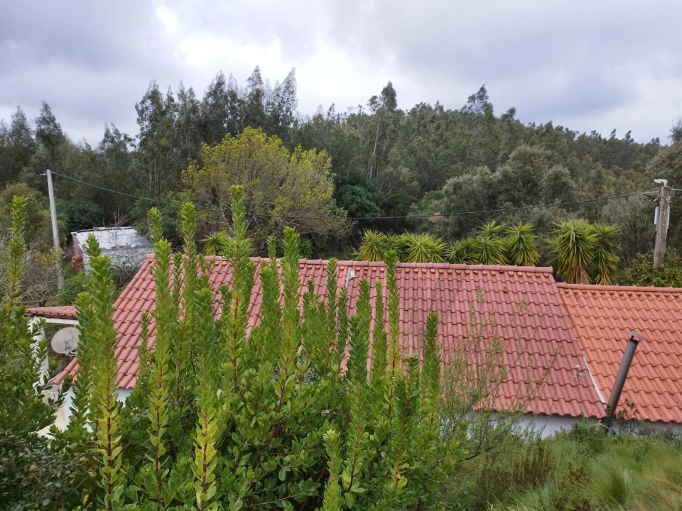 Quinta T3 para Venda em Monchique Foto 24