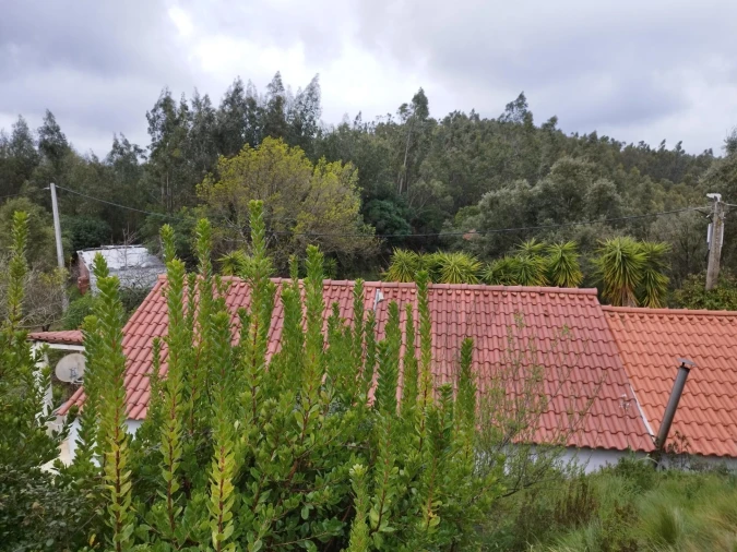 Quinta T3 para Venda em Monchique Foto 24