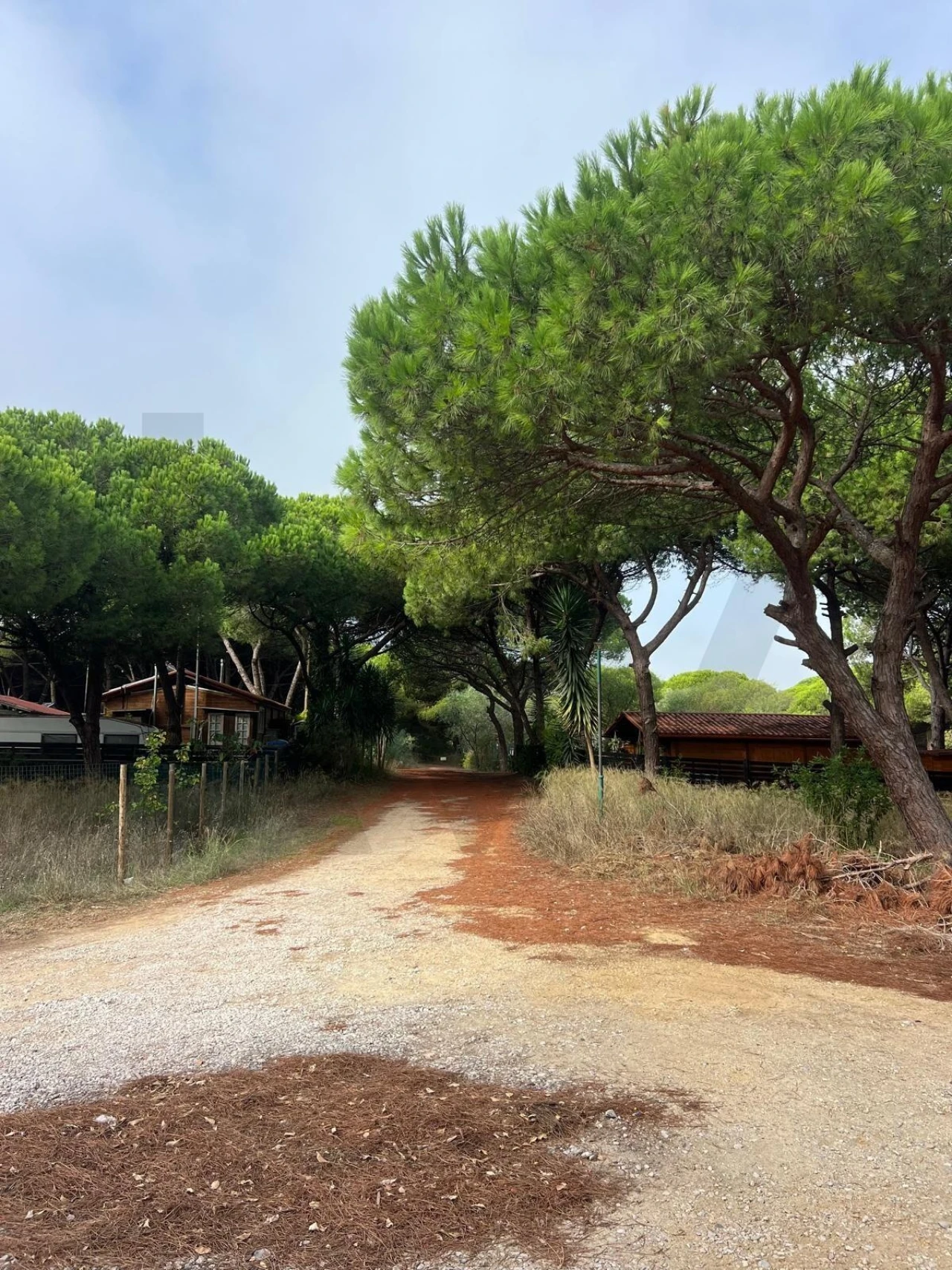 Terreno para Venda em Costa da Caparica Foto 10