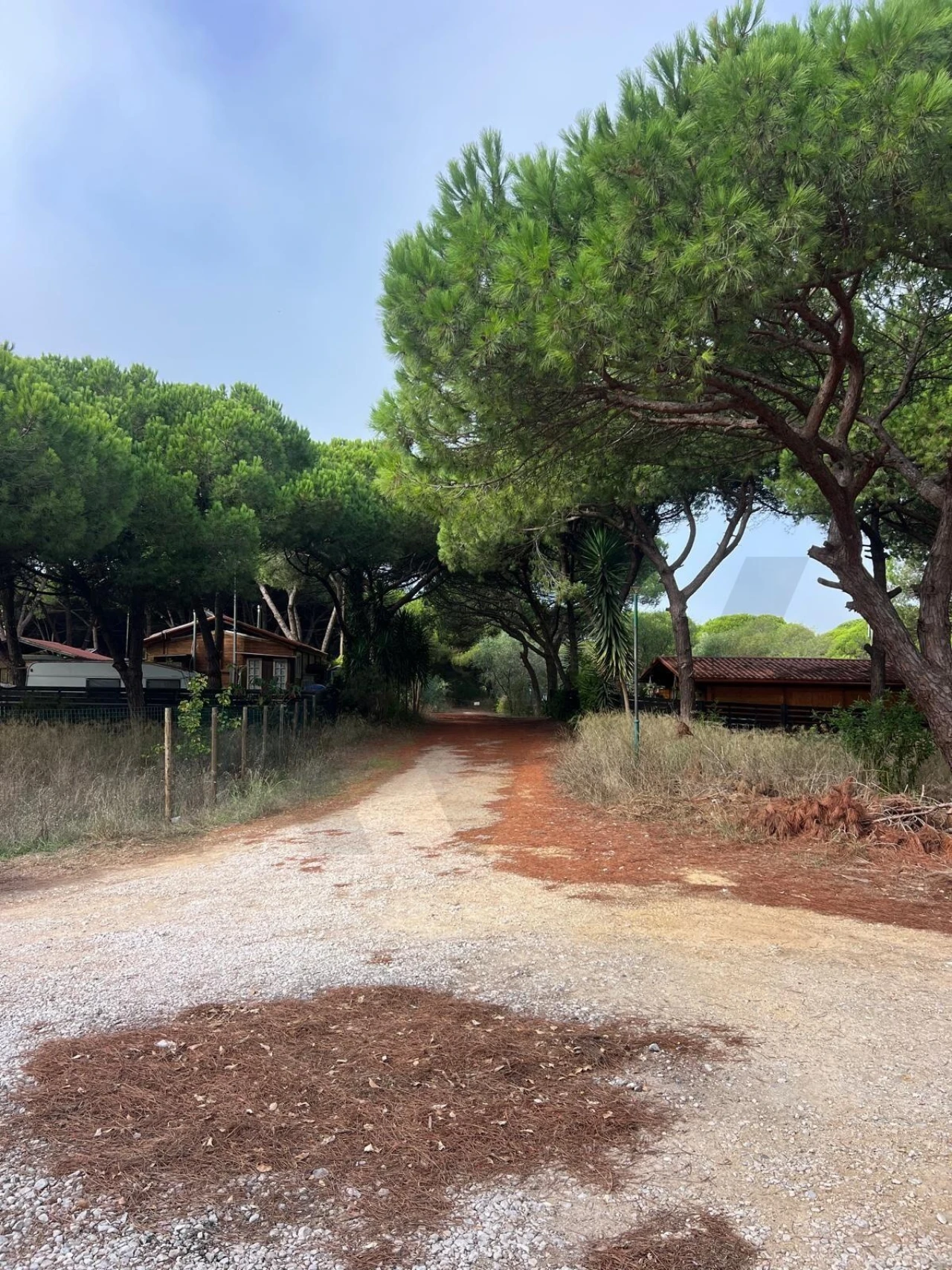 Terreno para Venda em Costa da Caparica Foto 9