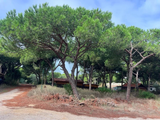 Terreno para Venda em Costa da Caparica Foto 7