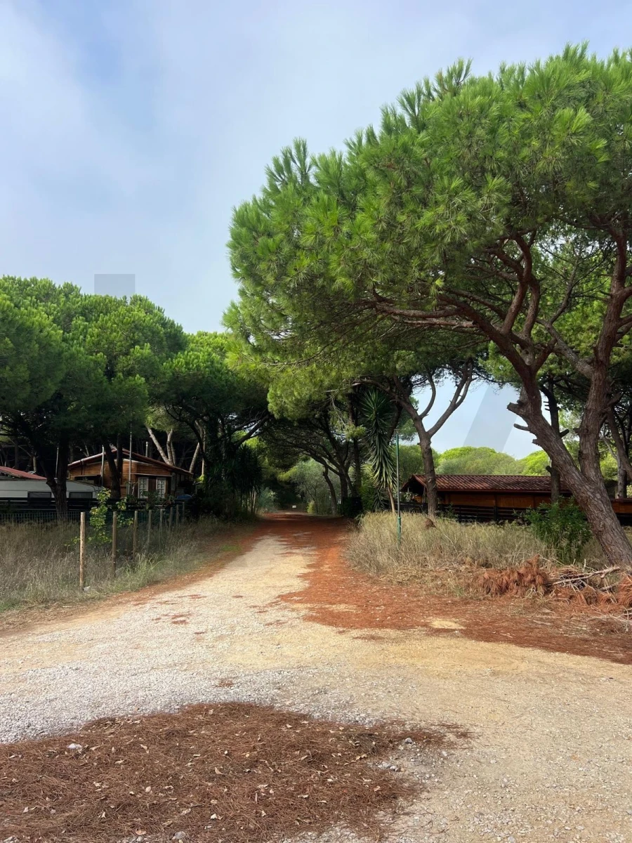Terreno para Venda em Costa da Caparica Foto 12