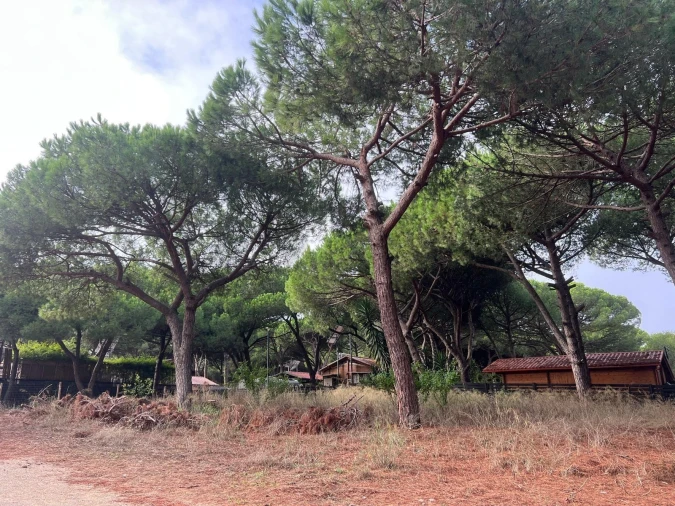 Terreno para Venda em Costa da Caparica Foto 6