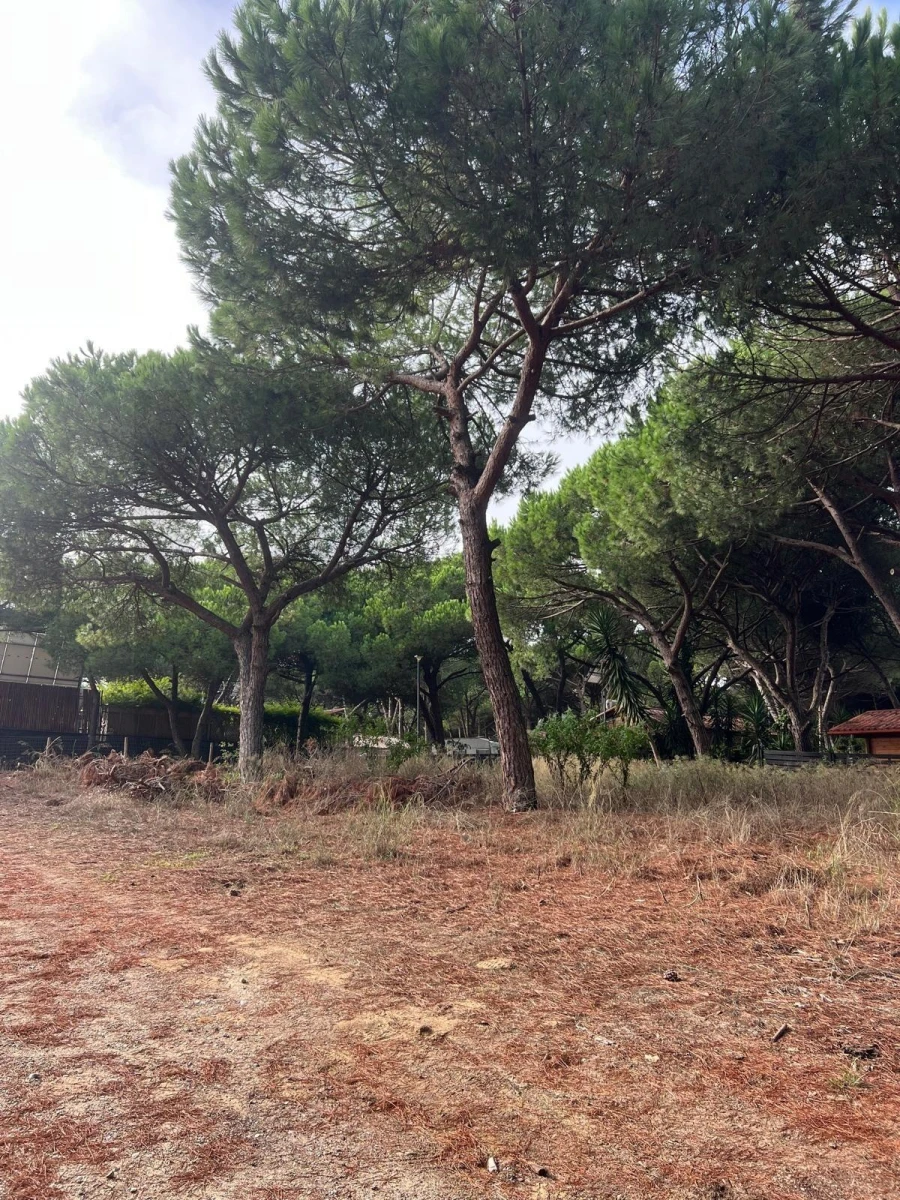 Terreno para Venda em Costa da Caparica Foto 3