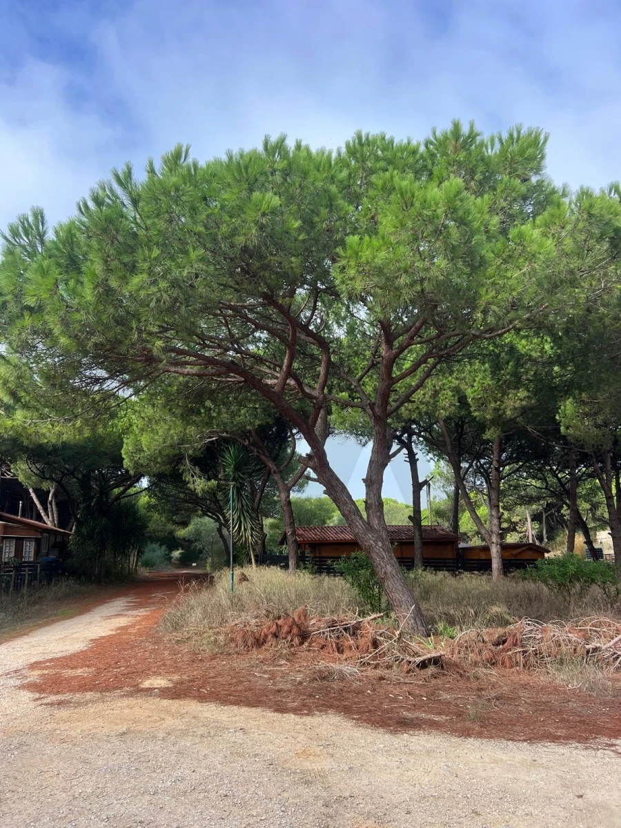 Terreno para Venda em Costa da Caparica Foto 4