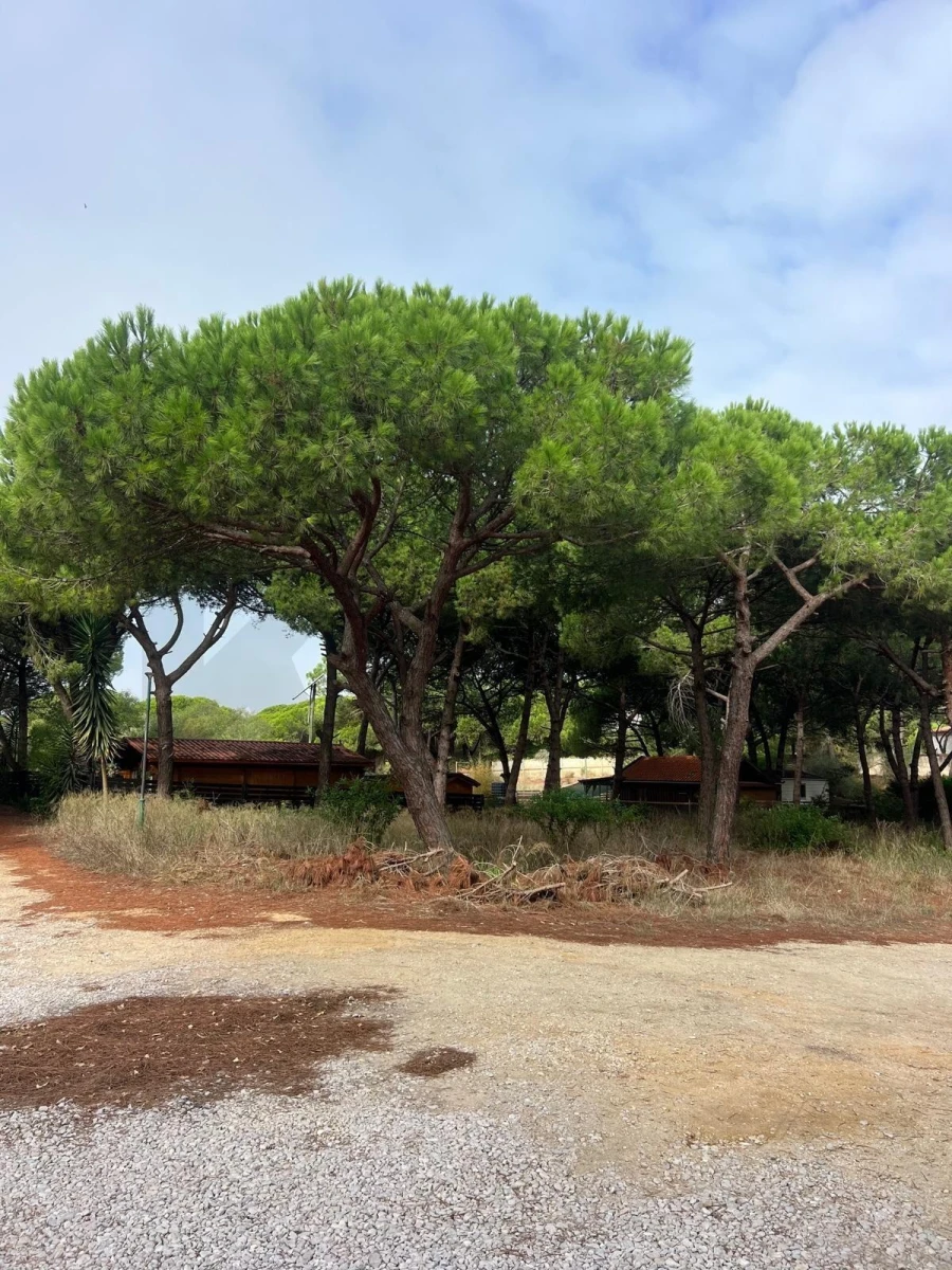 Terreno para Venda em Costa da Caparica Foto 13