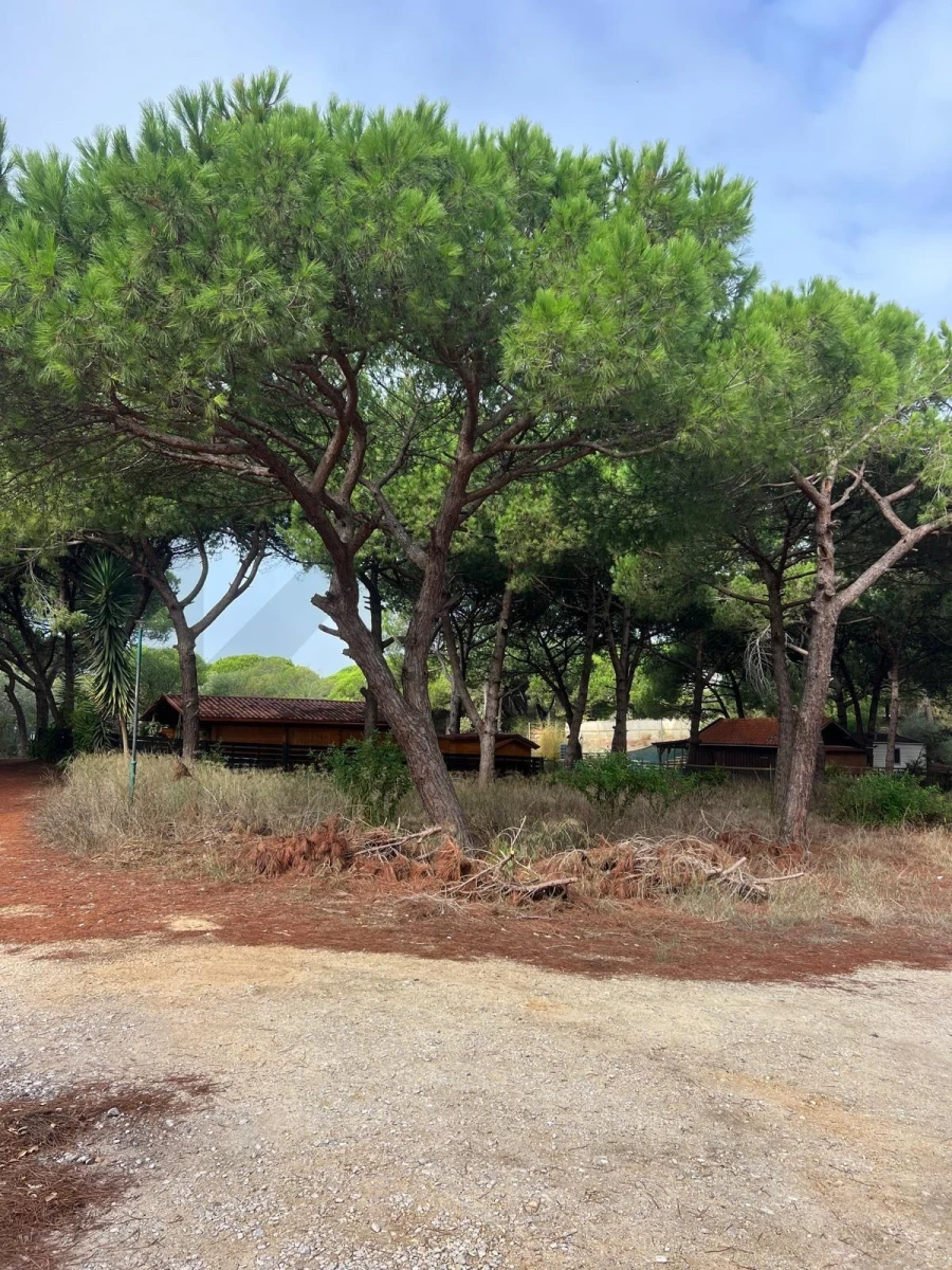 Terreno para Venda em Costa da Caparica Foto 8