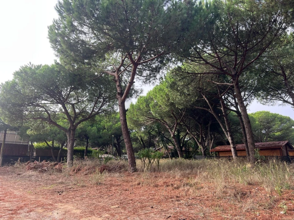 Terreno para Venda em Costa da Caparica Foto 5
