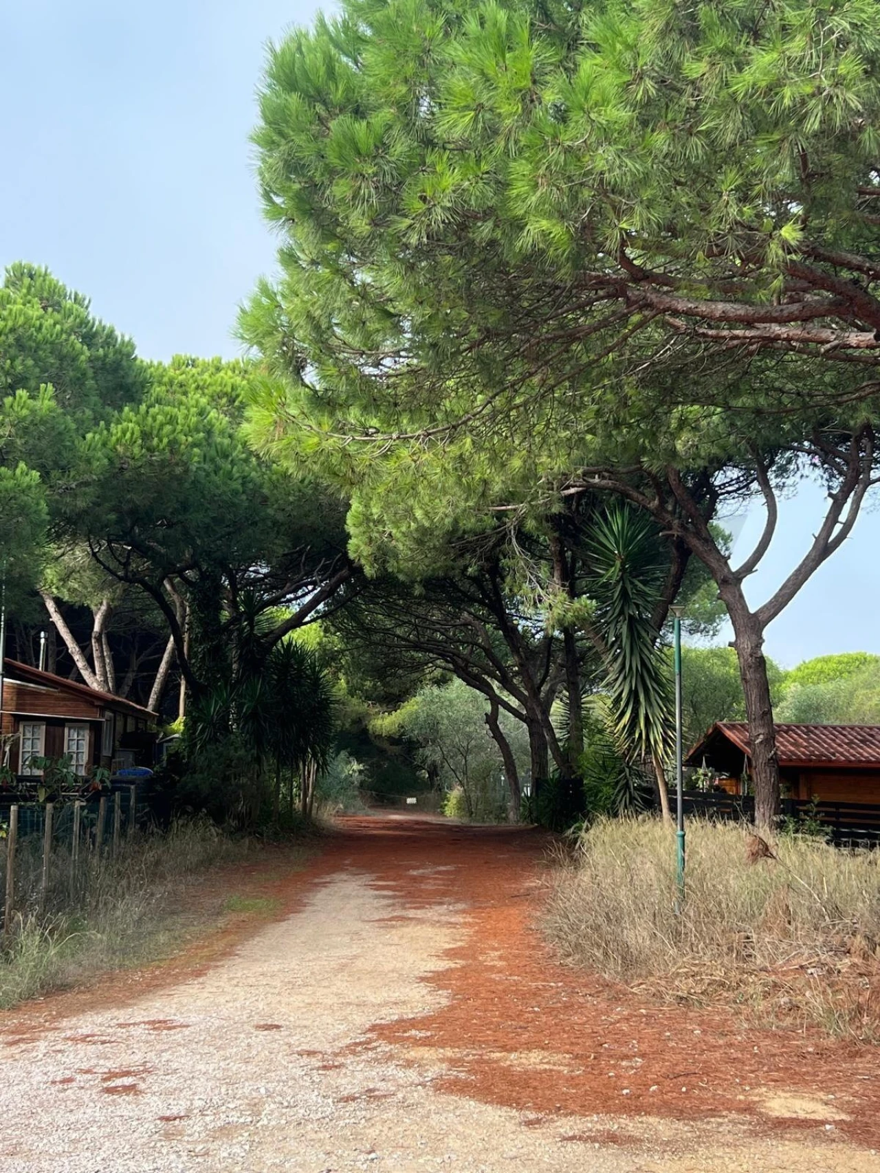 Terreno para Venda em Costa da Caparica Foto 11