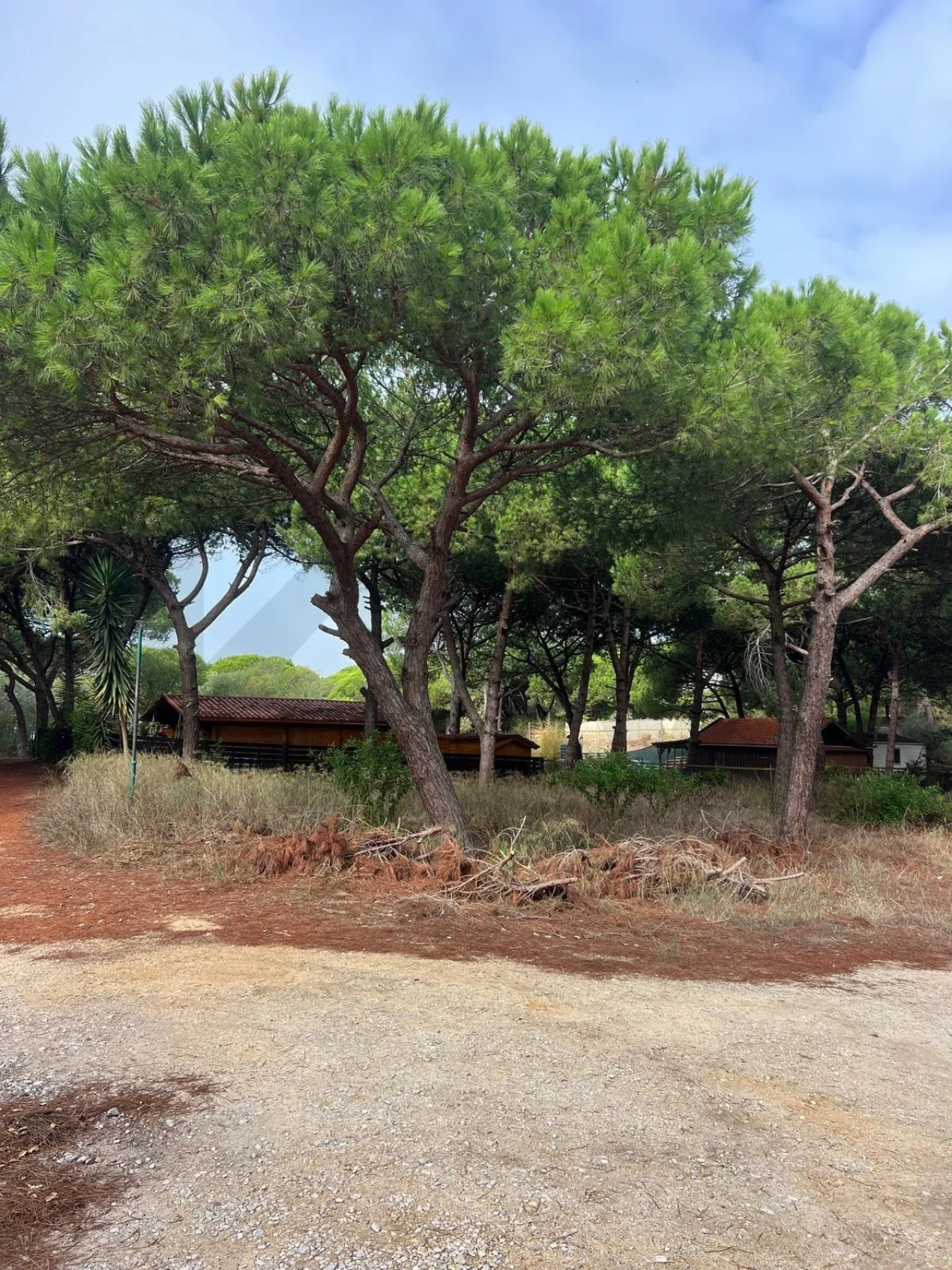 Terreno para Venda em Costa da Caparica Foto 8