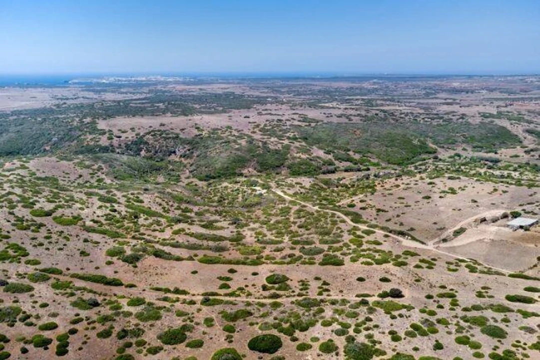 Terreno para Venda em Vila do Bispo e Raposeira Foto 8