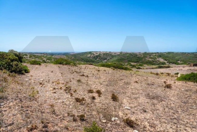 Terreno para Venda em Vila do Bispo e Raposeira Foto 3
