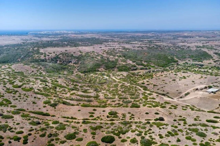Terreno para Venda em Vila do Bispo e Raposeira Foto 8