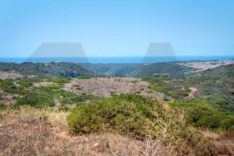 Terreno para Venda em Vila do Bispo e Raposeira Foto 5