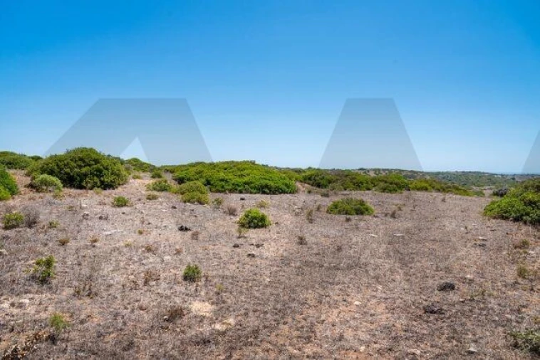 Terreno para Venda em Vila do Bispo e Raposeira Foto 6