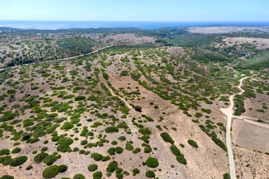 Terreno para Venda em Vila do Bispo e Raposeira Foto 7