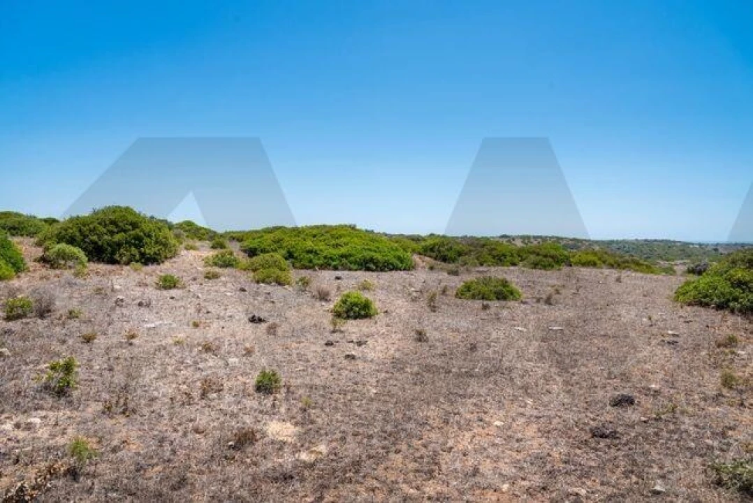 Terreno para Venda em Vila do Bispo e Raposeira Foto 6